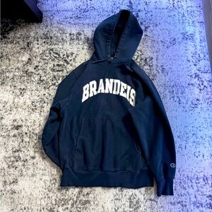 Vintage Champion Fleece Sweater / Hoodie